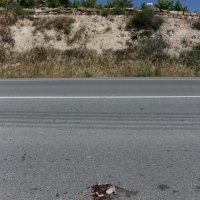 Image not found
